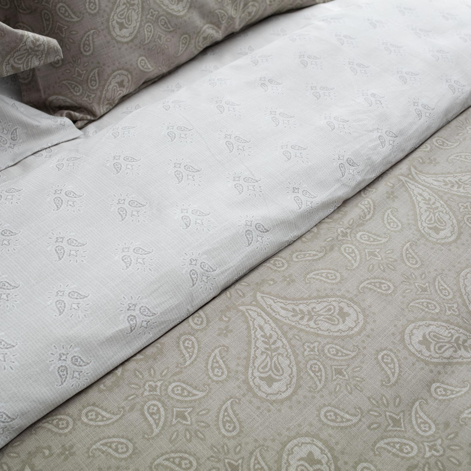 FIRENZE-2_det4 nousiosnousios