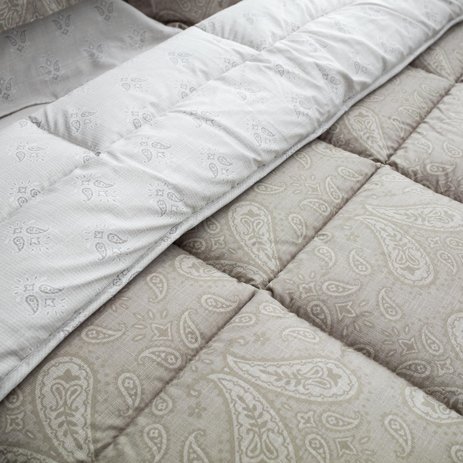 FIRENZE-2_pap2 nousios