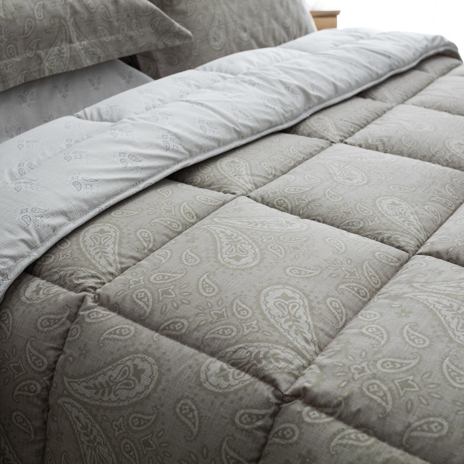 FIRENZE-2_pap5 nousios