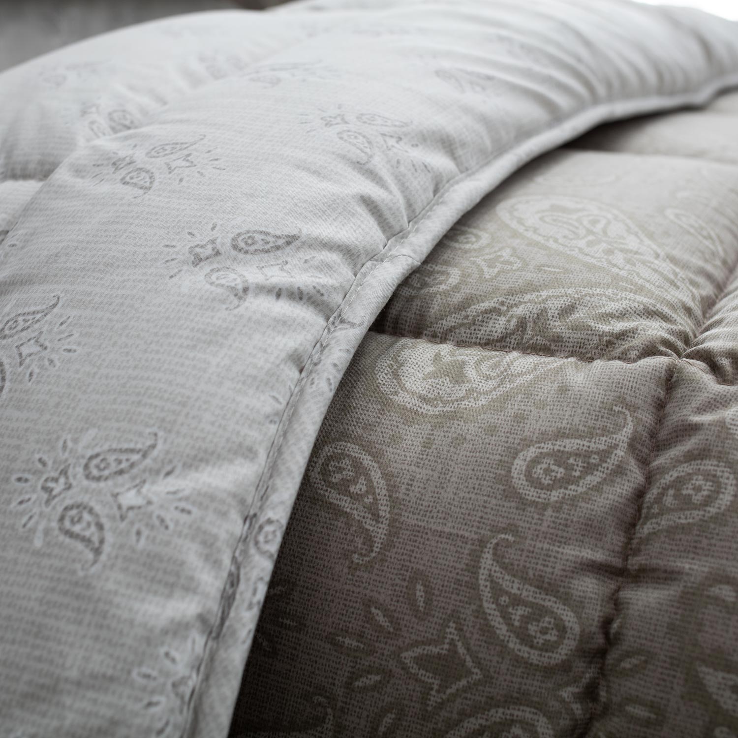 FIRENZE-2_pap6 nousios